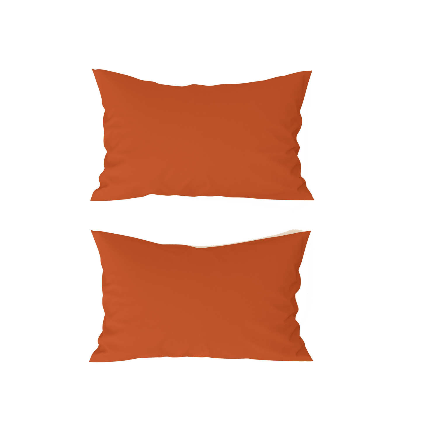Pure Bedsheet