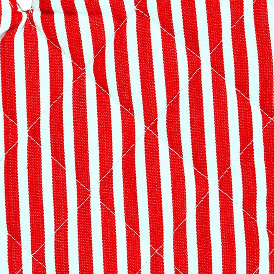 Candy Cane Kitchen Glove/Mitten