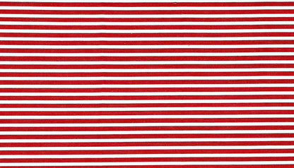 Candy Cane Kitchen Fabric Container